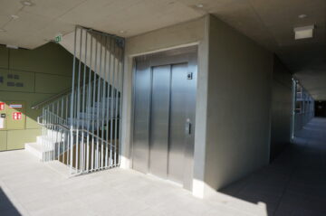 Bild - Aufblühen in Reininghaus