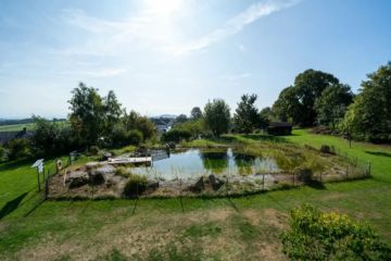 Bild - Traumwohnung mit Badeteich