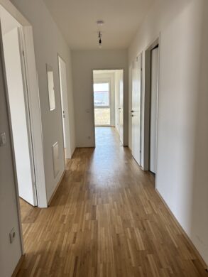 Vorzimmer Gang - Aufblühen in Reininghaus