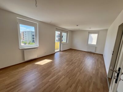 Schön & Komfortabel, 2700 Wiener Neustadt, Genossenschaftswohnung