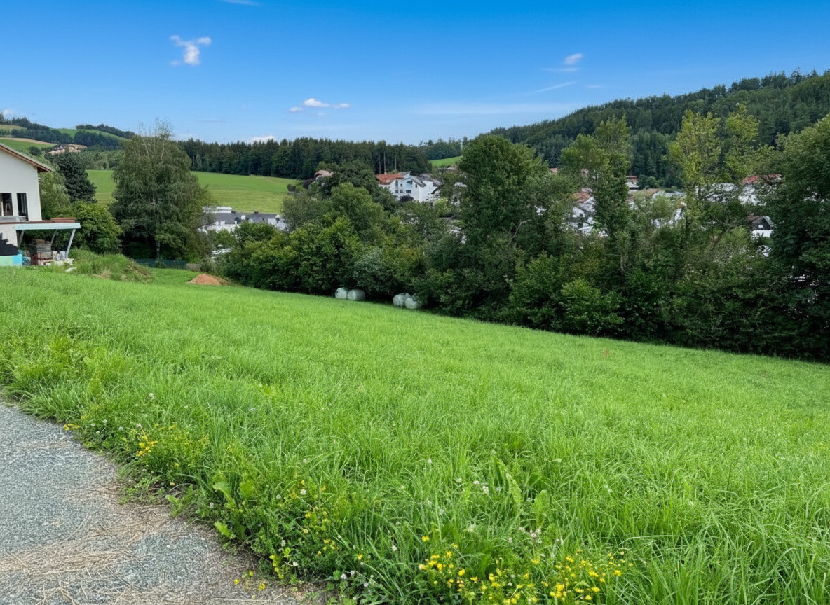 Titelbild - Raus auf´s Land!
