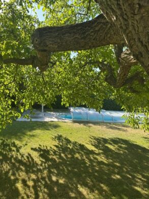 Bild - Wohlfühloase mit Pool