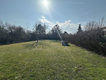 Bild - Wohlfühloase mit Pool