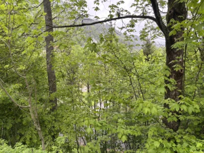 Grundstück