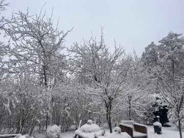 Garten - Familientraum in Top-Lage