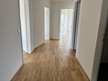 Gang - Aufblühen in Reininghaus