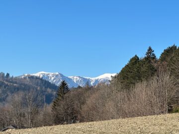 Bergrefugium, 2733 Grünbach am Schneeberg, Haus
