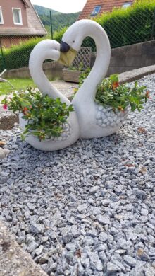 Garten - Garten. Berge. Freiheit.
