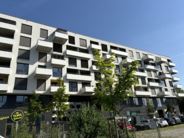 Bild - Aufblühen in Reininghaus