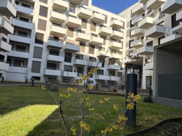 Bild - Aufblühen in Reininghaus