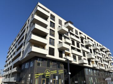 Bild - Aufblühen in Reininghaus