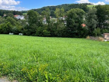 Schöner Baugrund mit Fernblick - Bild