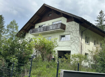 Bild - Leben inmitten der Natur