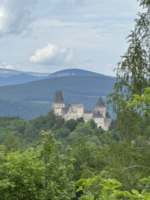 Rarität für Naturliebhaber, 2640 Raach am Hochgebirge, Mehrfamilienhaus