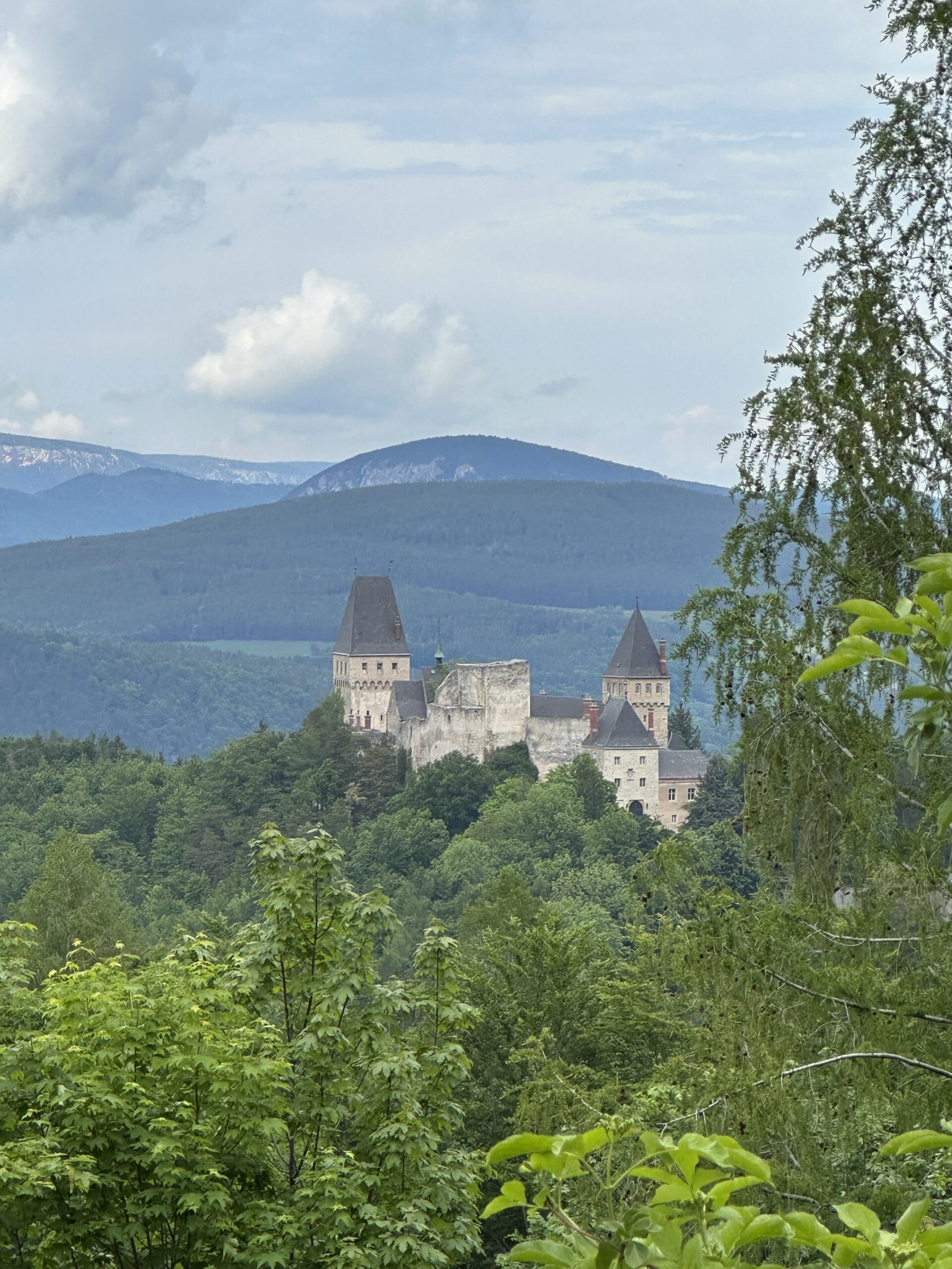 Aussicht - Rarität für Naturliebhaber