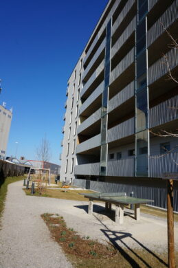 Bild - Aufblühen in Reininghaus