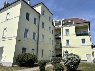Gartenansicht - Gepflegte City-Wohnung