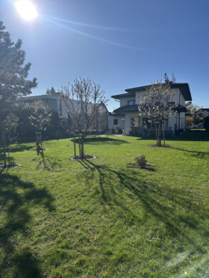 Luxus-Einfamilienhaus, 2333 Leopoldsdorf, Einfamilienhaus