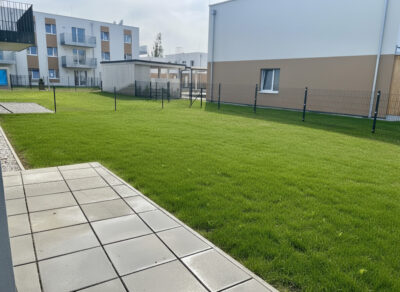 Garten 2 (KI-generiert)