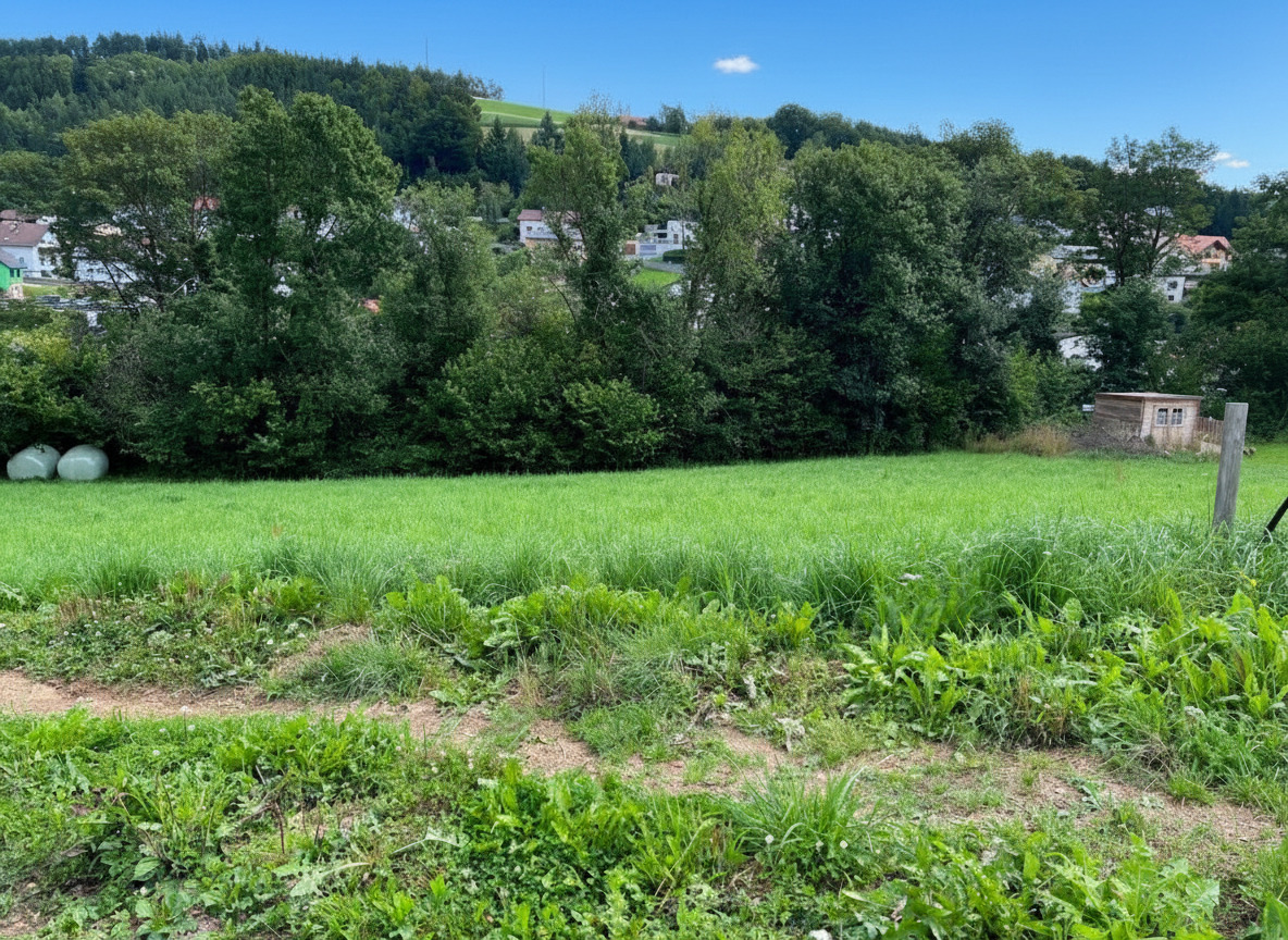 Titelbild - „Herrlicher Baugrund“