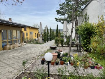 Bild - Wohnen und Heuriger vereint