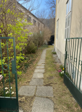 Bild - Zinshaus mit Charme