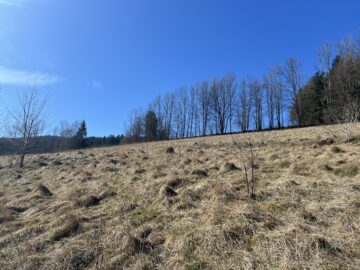 Leben am Sonnenhang, 2870 Aspangberg-St. Peter, Grundstück