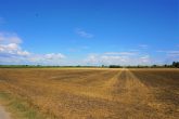 Lust auf Natur, gesunde Luft und hohe Lebensqualität? - Bild