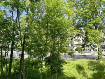 Gartenfreude, 2700 Wiener Neustadt, Erdgeschoß