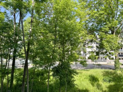Gartenfreude, 2700 Wiener Neustadt, Erdgeschoß
