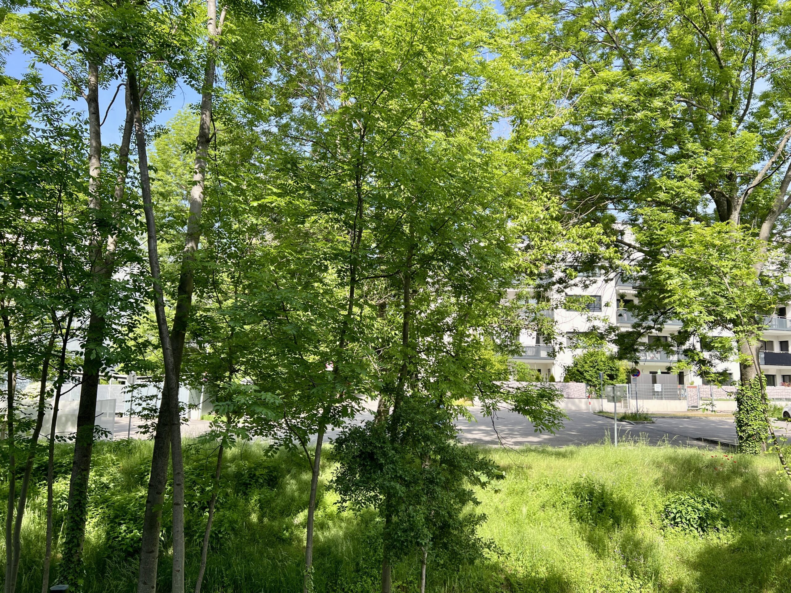Titelbild - Gartenfreude