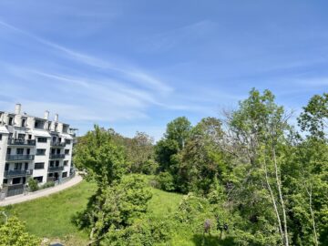 Bild - Balkonliebe