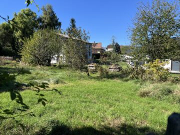 Bild - Grünblick in Pettenbach