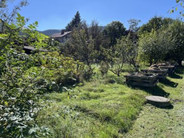 Bild - Grünblick in Pettenbach