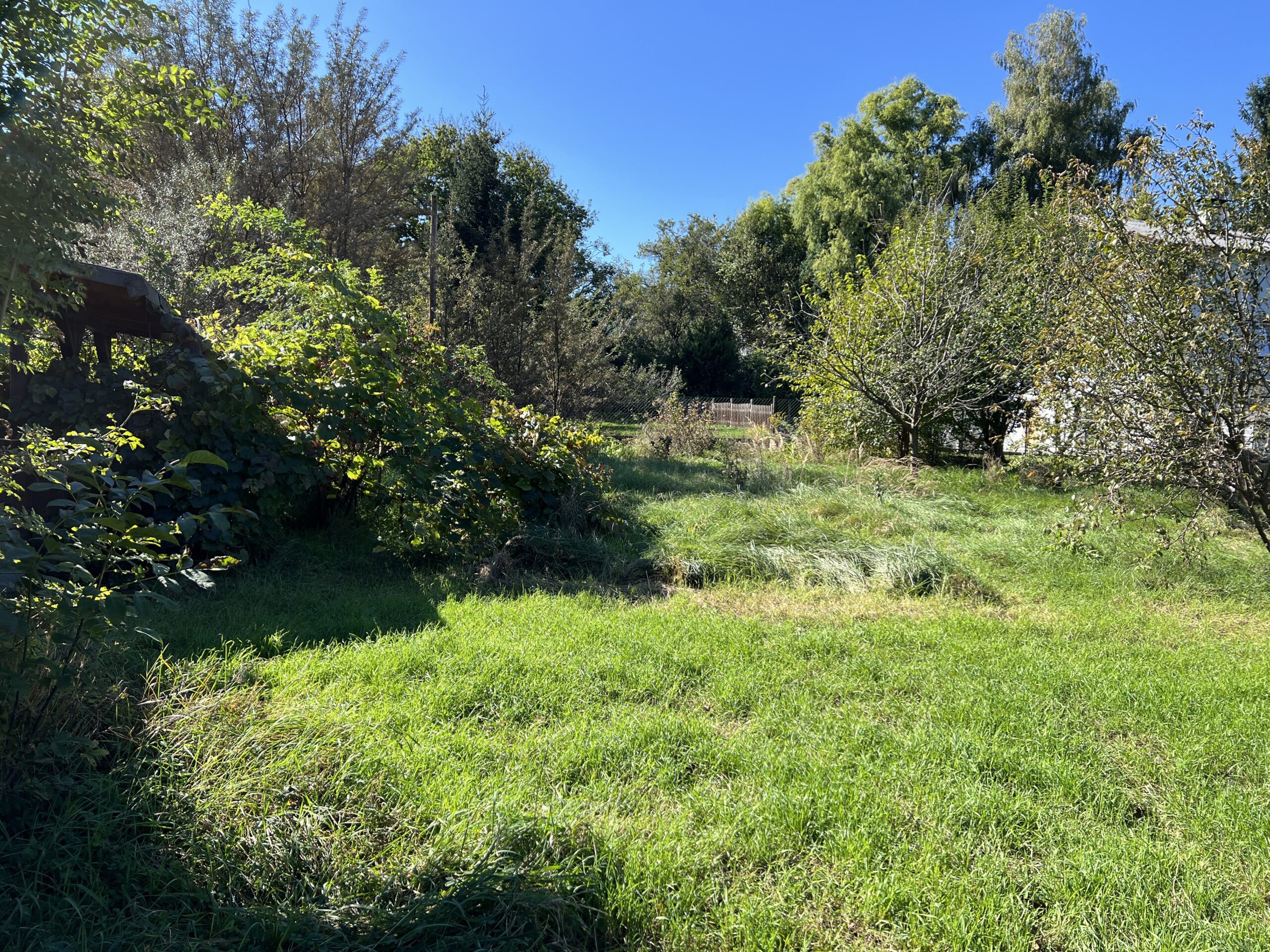 Titelbild - Grünblick in Pettenbach