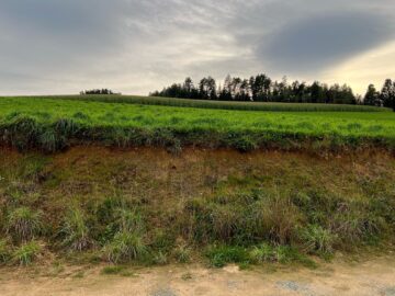 Sommer im Eigenheim, 2871 Zöbern, Baugrund Eigenheim