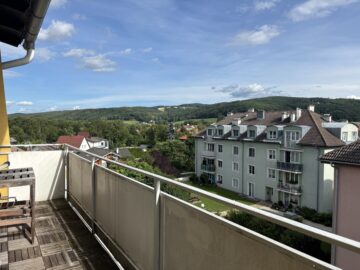 Balkon - Charmante 3-Zimmer-Wohnung