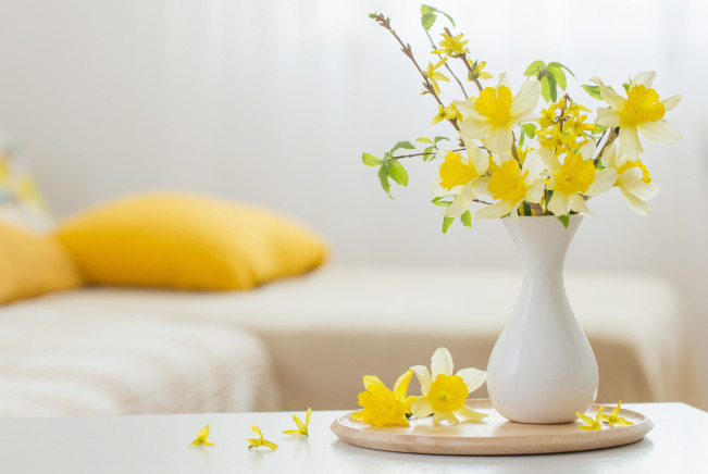 Titelbild - Aufblühen in Reininghaus