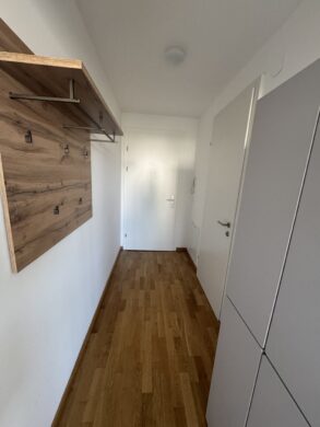 Vorraum - City-Garconniere mit Loggia