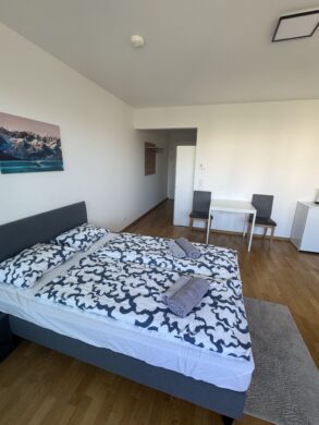 Wohnraum - City-Garconniere mit Loggia