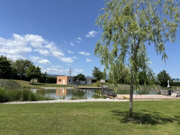 Schwimmteich - Charmante Gartenwohnung
