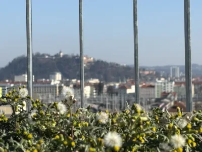 mietbarer Garten