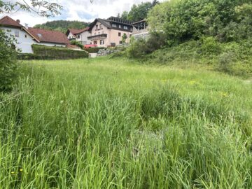 Bild - Schönes Grundstück in Höll