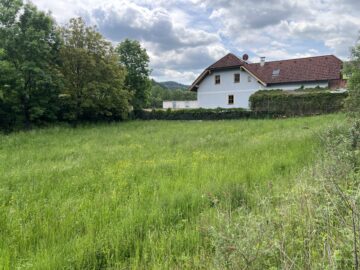 Bild - Schönes Grundstück in Höll