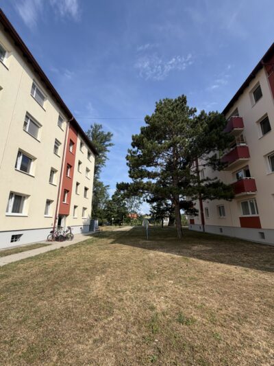 Gemütliches Zuhause, 2524 Teesdorf, Wohnung