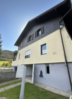 Außenansicht - Traumhaftes Mehrfamilienhaus