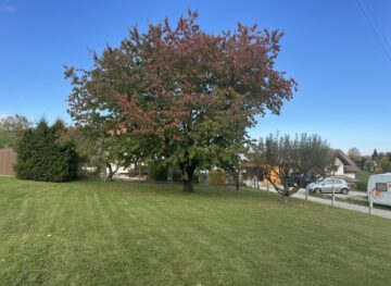 Garten - Traumhaftes Mehrfamilienhaus